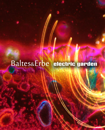 Electric Garden the second Album from Baltes&Erbe